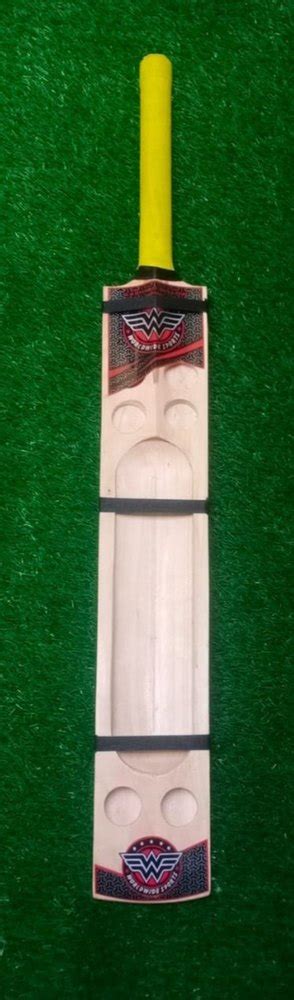 Kashmir (Indian) Willow Standard Handle Worldwide Sports Cricket Bat at ...