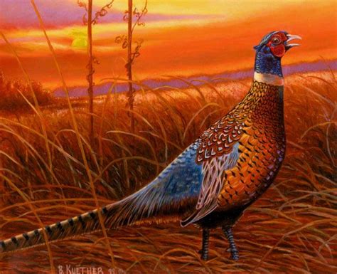 pheasant-hunting-paintings-i4.jpg 600×488 pixels | Hunting | Pinterest | Pheasant, Bird and ...