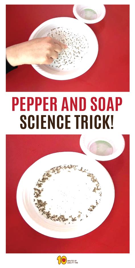 Pepper and Soap Science Trick - 10 Minutes of Quality Time