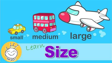 Learn Sizes - Small Medium Large | Size comparison for Kids - YouTube | Youtube kids, Big and ...