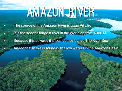 The Amazon River Basin: A Physical And Cultural Region ...