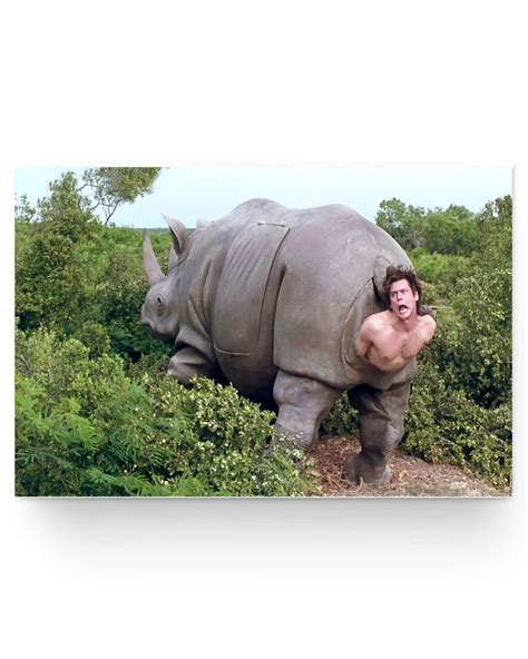 Ace Ventura Rhino Art PosterThe rhino scene in Ace Ventura Funny Poste ...