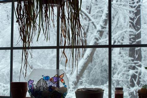 window view | i can enjoy the snow much more from inside my … | Flickr