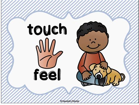 Five senses - TOUCH | Five senses kindergarten, Body parts preschool activities, Kids senses