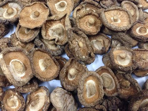 Dried shiitake mushroom wholesale from Vietnam | tradekorea