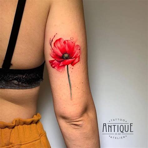 Poppy Flower Tattoo | Best Flower Site