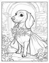 Coloring Pages Of Wiener Dogs – 12 Free Printable Designs For Fun sketch template