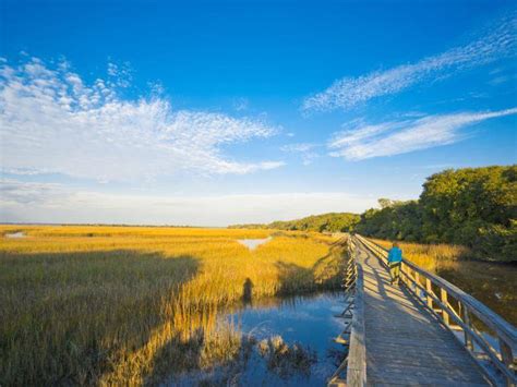 Cumberland Island National Seashore | Official Georgia Tourism & Travel ...