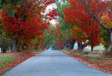 Most Scenic Fall Foliage Drives in New England - Mapped by Megan