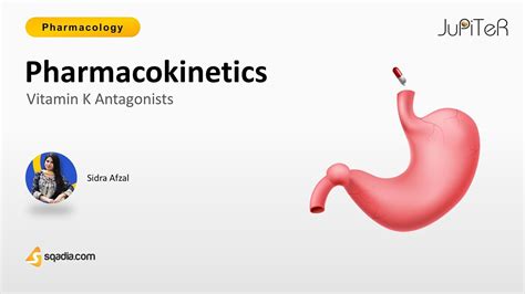 Vitamin K Antagonists