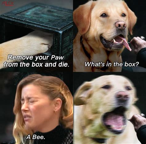 My dog stepped on a bee : r/meme