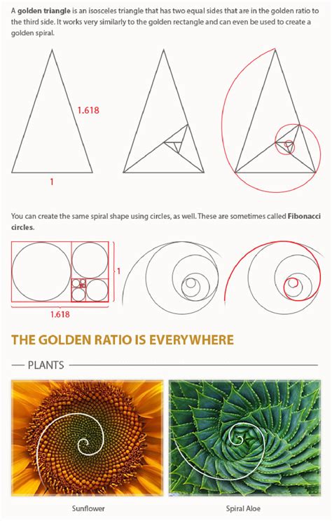 geometry matters — How to use the Golden Ratio source here.