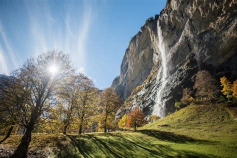 Trees Mountain Horizon Royalty-Free Stock Photo and Image