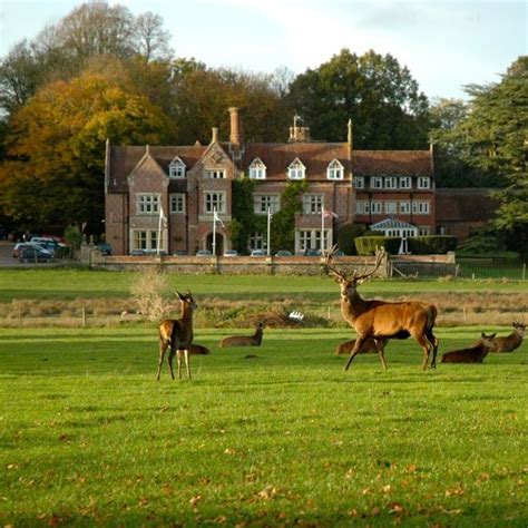 Burley Manor Hotel | New Forest Accommodation | Manor hotel, Burley manor, New forest