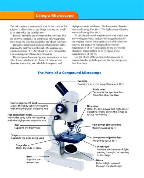 The Parts of a Compound Microscope - TeacherWeb