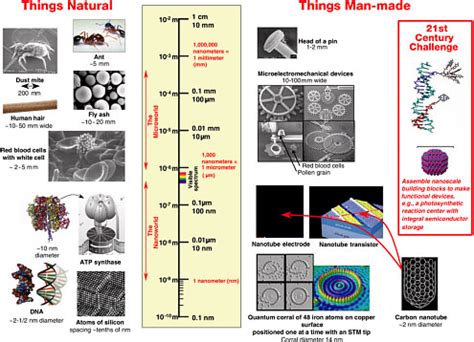 1. The Importance of Nanoscale Science and Technology | Small Wonders ...