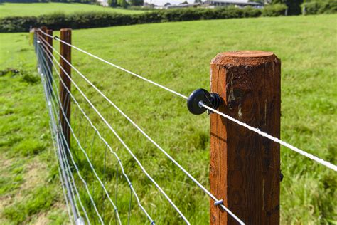 Your Complete Guide to Electric Fencing | Blain's Farm & Fleet Blog