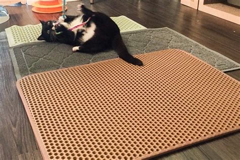 The Best Cat Litter Mat | Reviews by Wirecutter