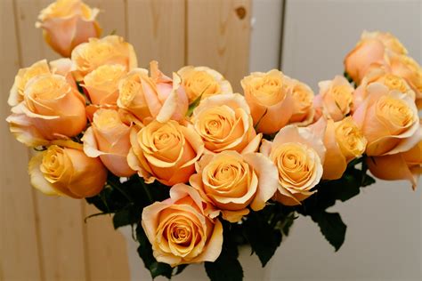 Dry Flowers · Free Stock Photo