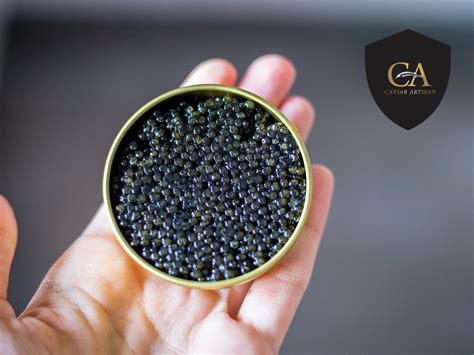 Beluga Caviar 50g – Sailbrand