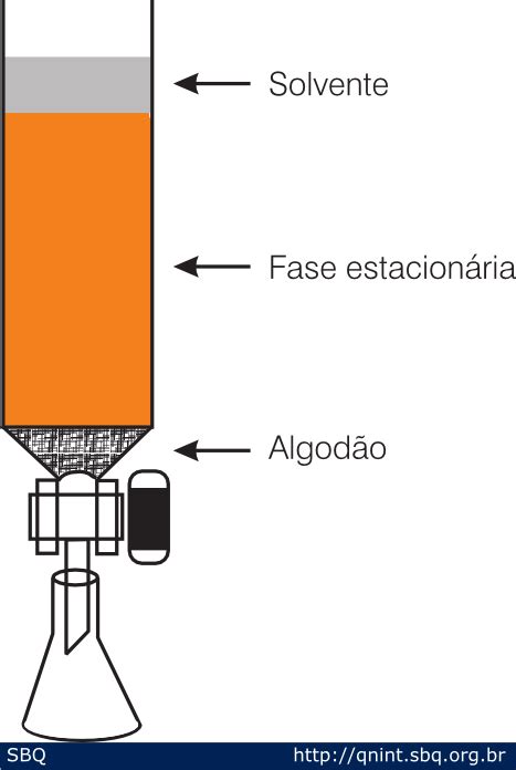 Figura 3: Ilustração de uma coluna cromatográfica.