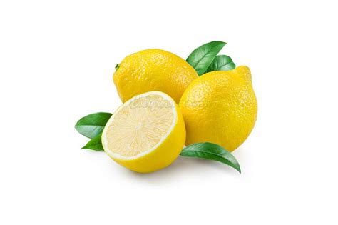 Yellow Lemon – Evergreen Foods