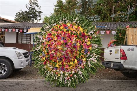 Flower Arrangement in Medellin Colombia Editorial Image - Image of ...