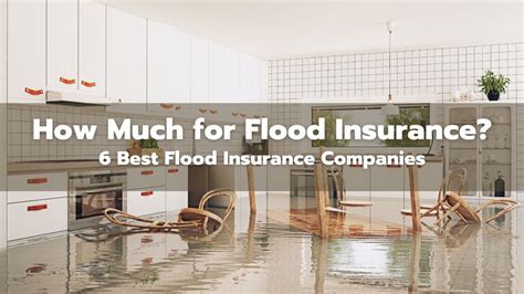 How Much for Flood Insurance? 6 Best Flood Insurance Companies | by ...