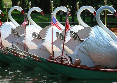 Swan boats return to Boston Public Garden lagoon for the season - masslive.com