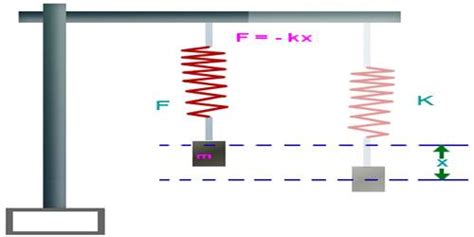 Experiment: Determination of the Spring Constant - QS Study