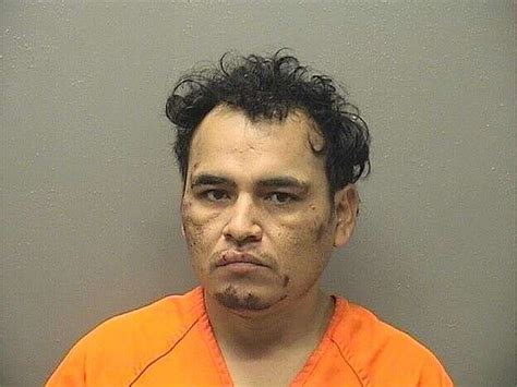 Man reportedly ‘hallucinating’ on drugs charged for alleged attack on PD officer | Hot Springs ...