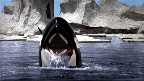 Orca The Killer Whale Review | Movie - Empire