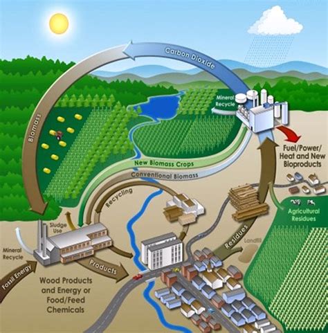 The Concept of Biorefinery | BioEnergy Consult