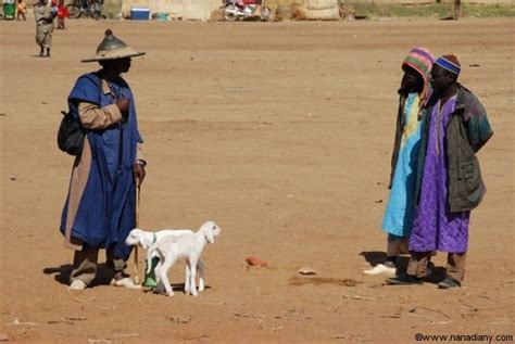 The different ethnic groups in Mali