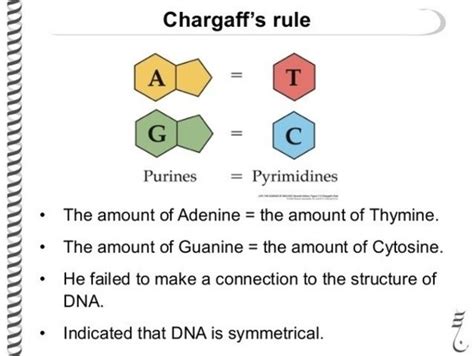 DNA Discovery timeline | Timetoast timelines