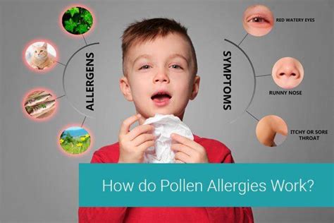 What Are the Different Types of Pollen Allergies? - Tottori Allergy & Asthma Associates