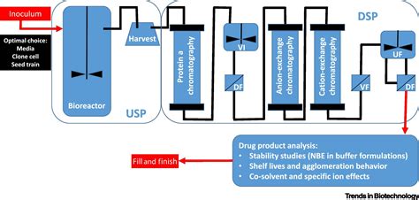 Towards a Digital Bioprocess Replica: Computational Approaches in Biopharmaceutical Development ...