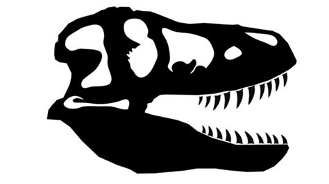 Tyrannosaurus Rex Skull Silhouette