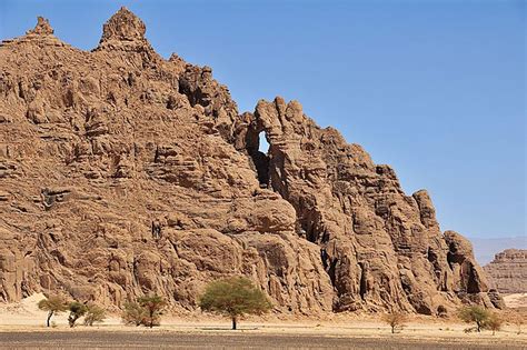 a large rock formation in the desert with trees growing out of it's sides