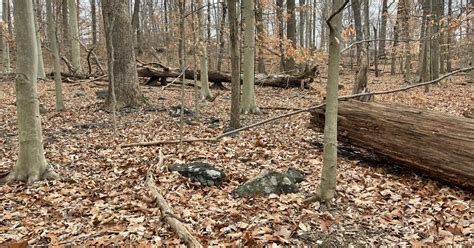 A new 46-acre park is coming to Delaware County at former Sisters of St ...