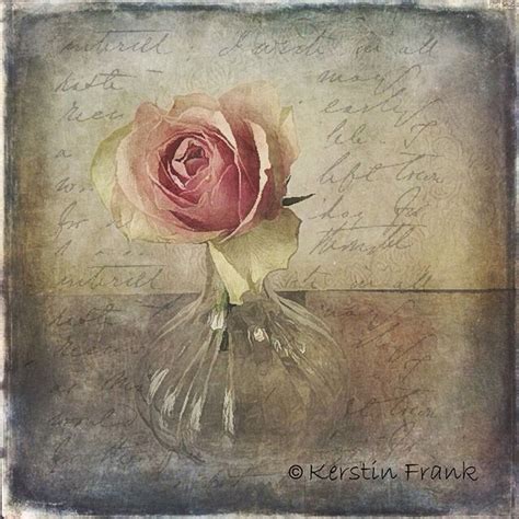 A Single Rose | Art, Painting, Single rose