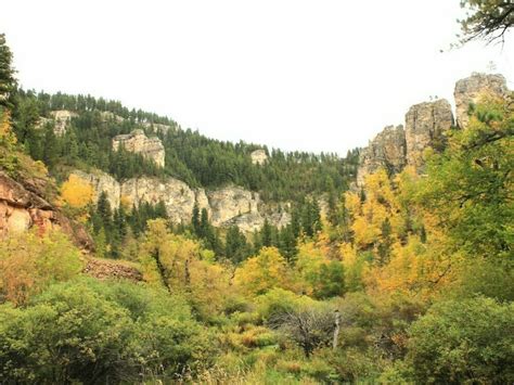 Spearfish Canyon Color Report