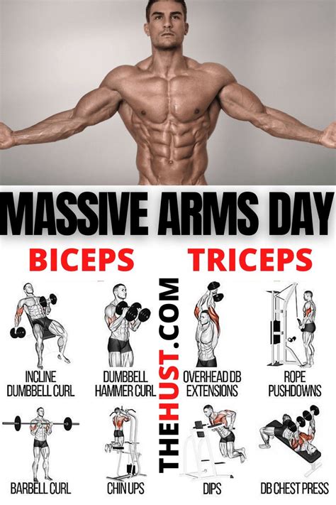 Best Back And Bicep Workout For Beginners - generatles