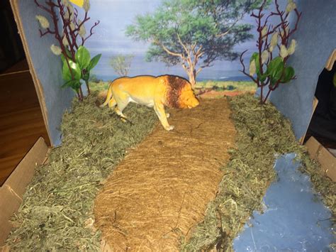 Lion diorama | Habitats projects, Diorama kids, Biomes project