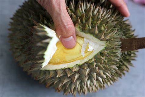 The Ultimate Bangkok Durian Guide: What You Need To Know About the Stinky Fruit