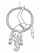 Acrobat coloring pages sketch template