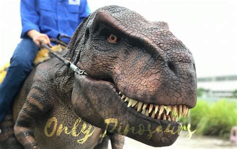 Realistic T-Rex Costume For Adult | Only Dinosaurs