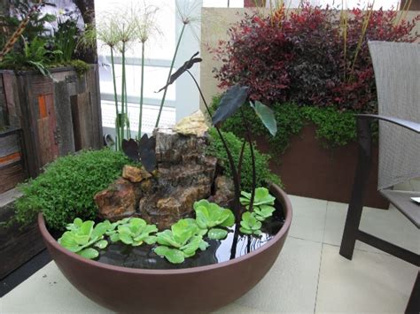 Indoor Aquatic Plants — Bob's Market and Greenhouses