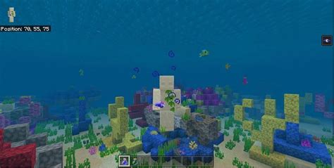 5 best Minecraft ocean seeds