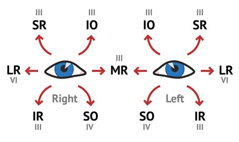 Limitation of Extraocular Movement | Signs - MedSchool